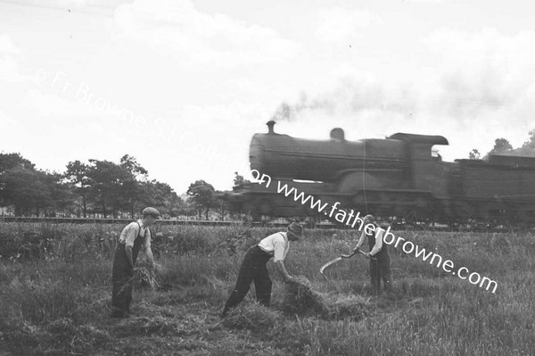 MEN HARVESTING WITH TRAIN GOING PAST IN BACKGROUND